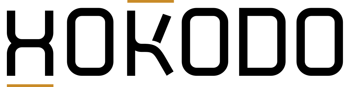 Hokodo logo