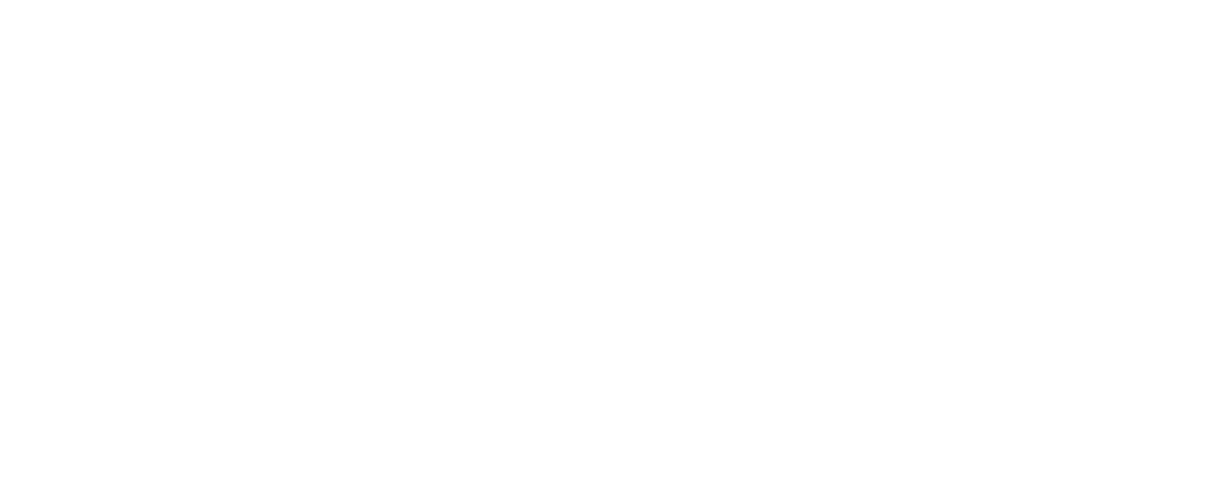 Hokodo - logo (blanc)
